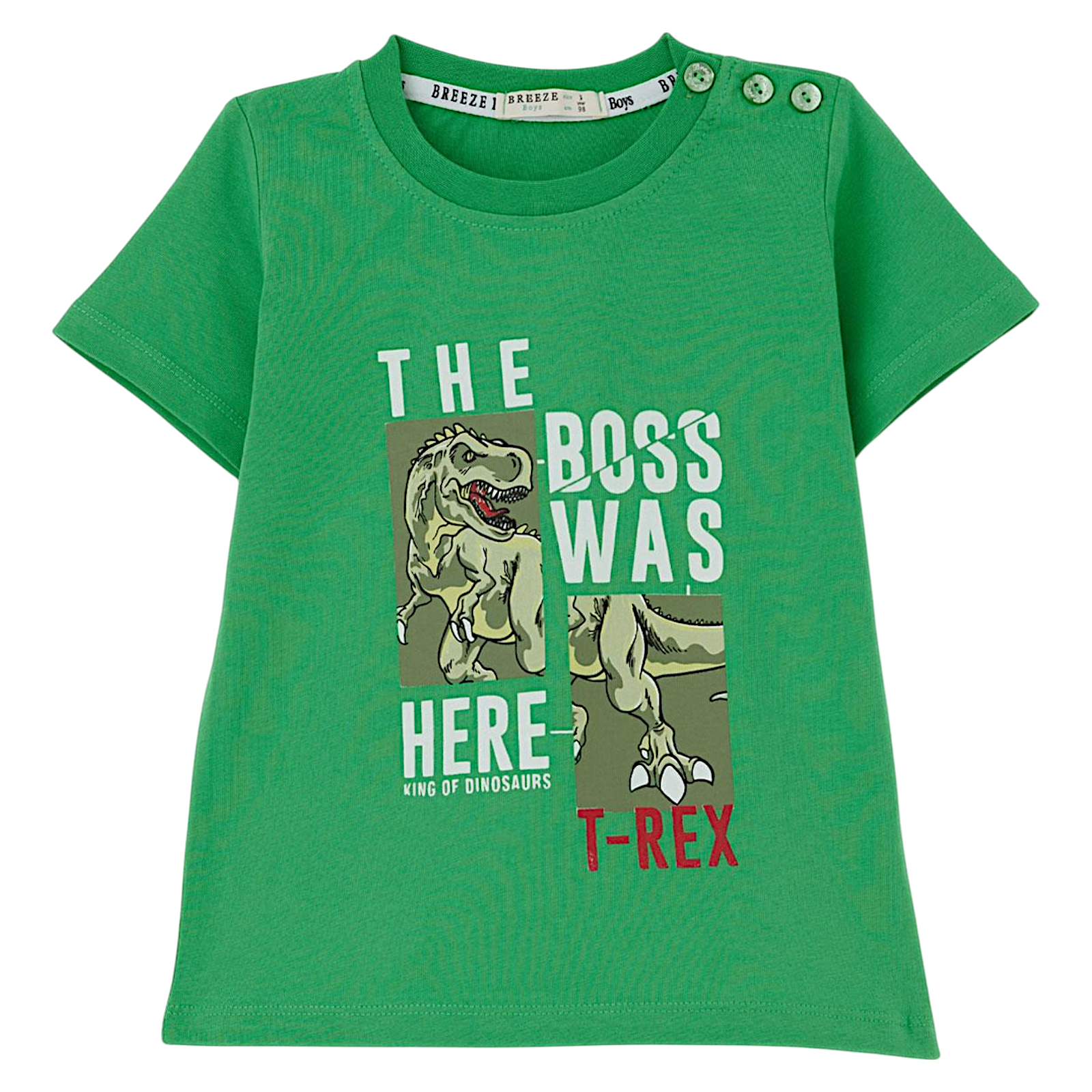 Boys dinosaur blouse green Breeze 19772-14425-48