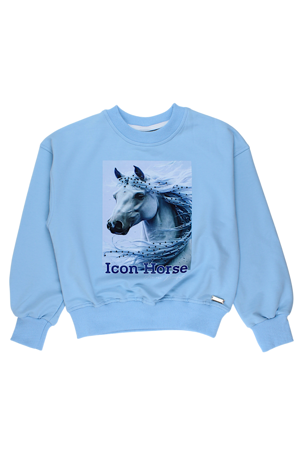 Blue girl's sweatshirt with a horse La loca 9087-28825