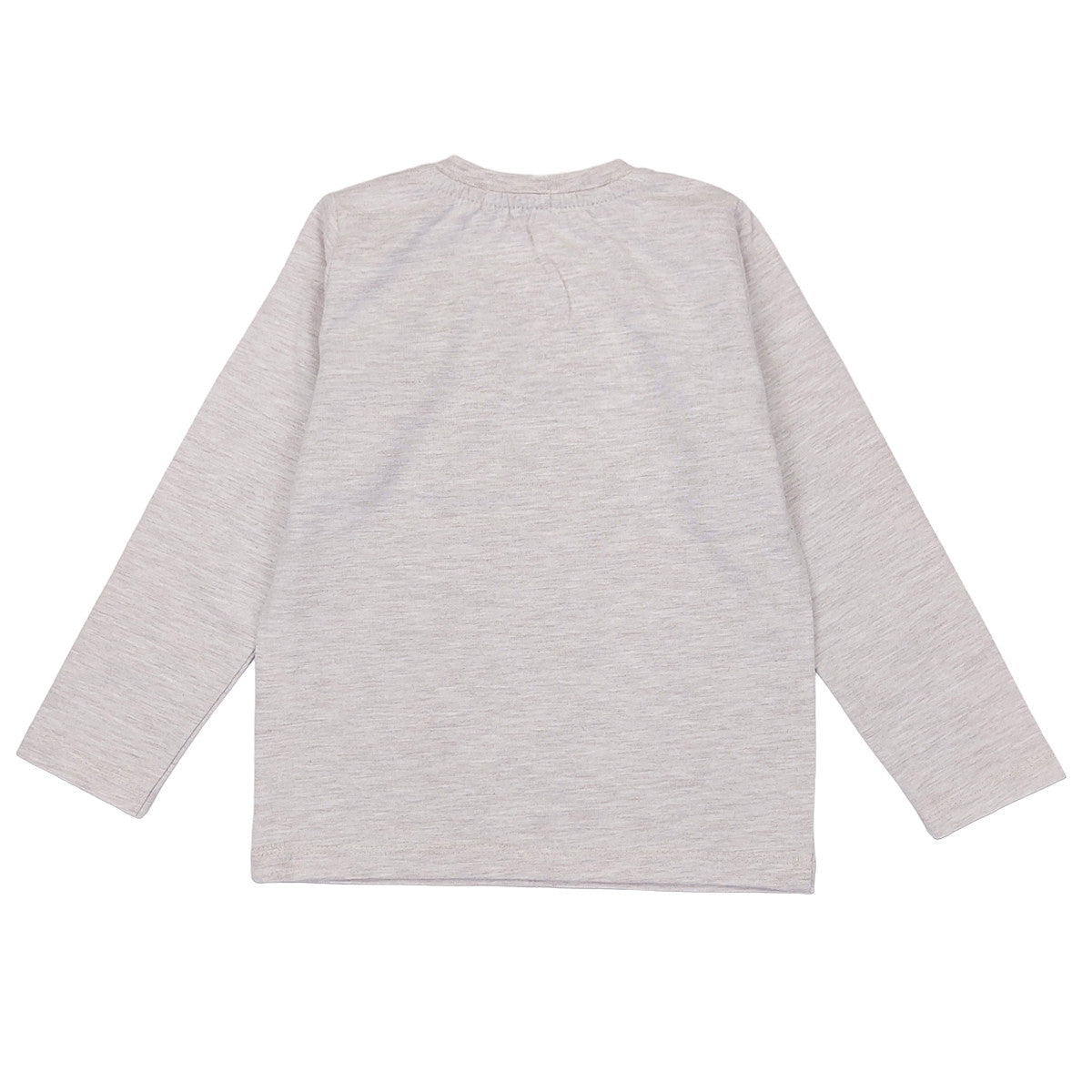 Bluzka Dino chłopak szary 17826-11223  GKMOC -  - #tag1# - #tag2# - #tag3# - #tag4#