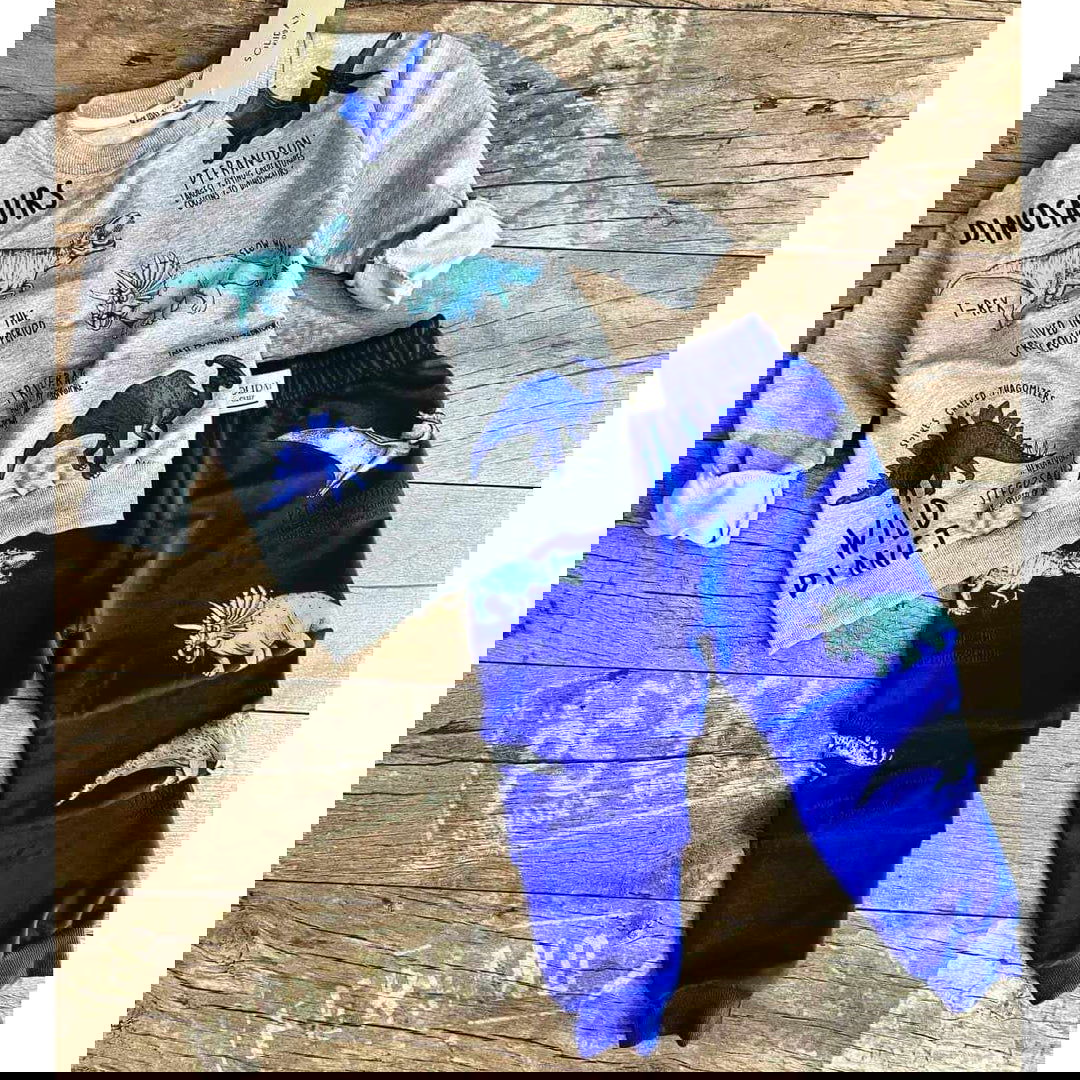 Dres 2 części dinozaury chłopięcy szary Soliday 23303-29824 GKMOC -  - #tag1# - #tag2# - #tag3# - #tag4#