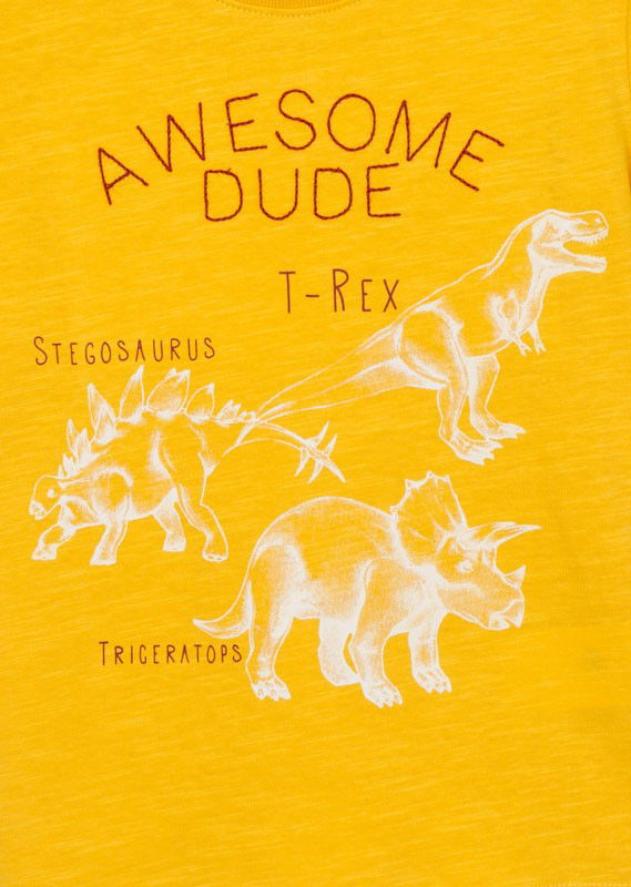 Koszulka z krótkim rękawem chłopięca Losan 115-1010AL-772 kolor Żółty -  - #tag1# - #tag2# - #tag3# - #tag4#